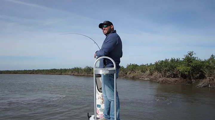 Louisiana On Fly
