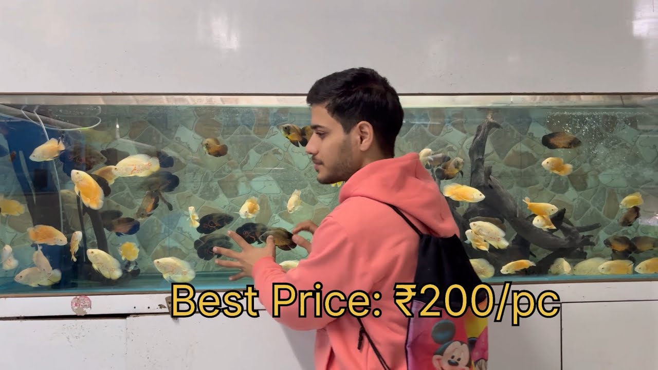 Online से भी सस्ता Fish Tank का सामान! 😱#vlog #hindi 