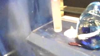 Capture 20120521 1