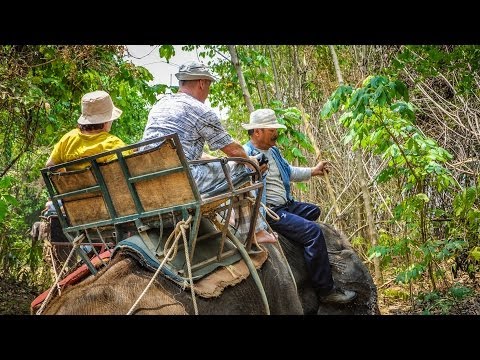 Тайланд - Катание на слонах в экскурсии на Квай