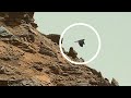 Mars Perseverance Rover photographed New Mars 4k Video: Sol 823 | Mars New Video | Mars New 4k Video