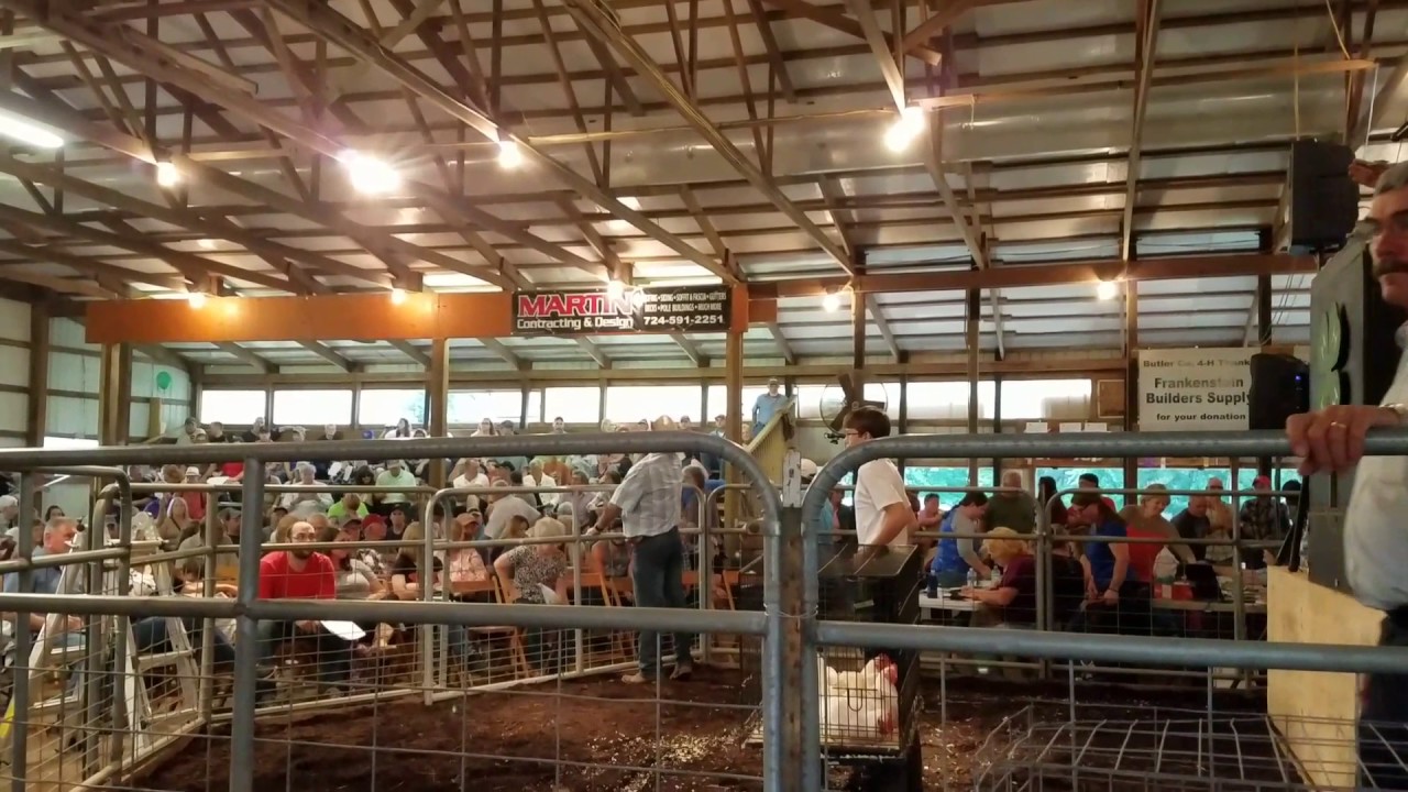 2017 Butler Farm Show meat chickens auction YouTube
