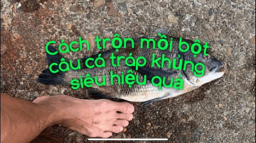 Cách trộn mồi bột xả câu cá tráp biển(cá hanh), câu iso biển giật gãy cả cần . 団子釣り、団子の作り方