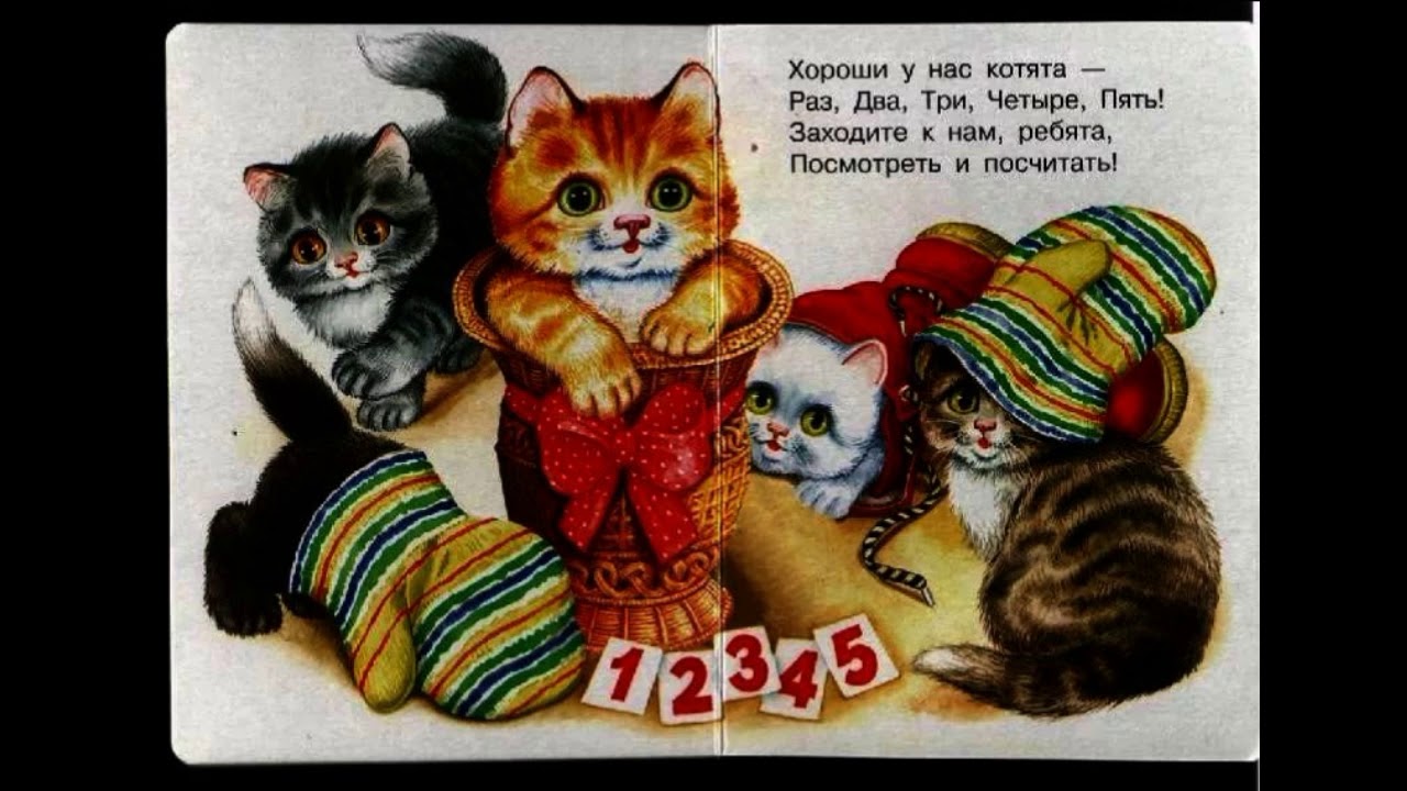 Котята михалкова читать. Котята стихотворение Михалкова. Михалков котята стихотворение. Пять котят стихотворение.