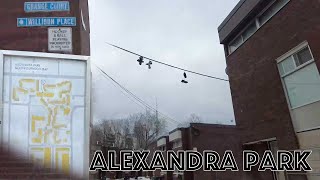 Toronto Hoods - Alexandra Park/P.O.