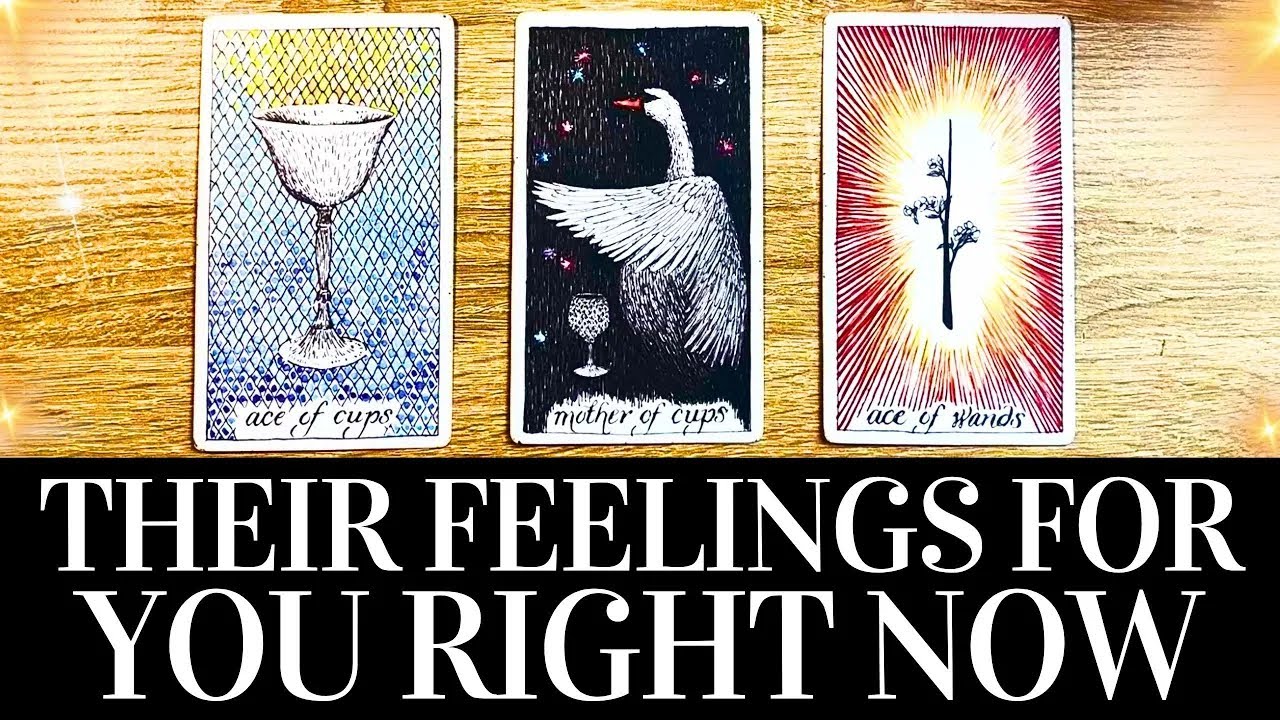PICK A CARD Their TRUE FEELINGS For You RIGHT NOW  They want you to know THIS  Tarot Reading
