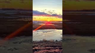 Creeping Death #metallica #guitar #solo #sunset #reflection  #kirkhammet