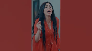 مراته التانية طبت عليه وشتمت ضرتها بنت الأصول الطوفان 