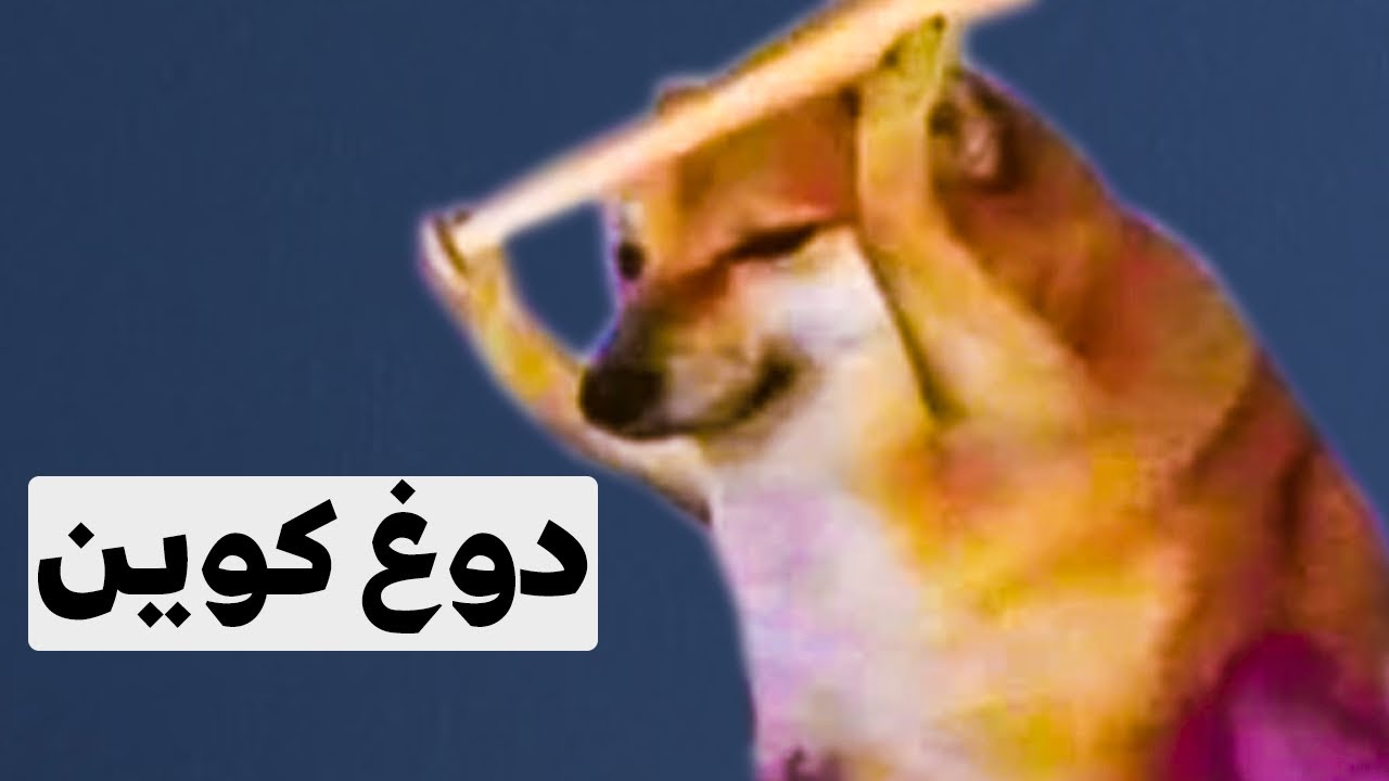 ماهي عملة الكلب الدوج كوين و ماعلاقته ب إيلون ماسك