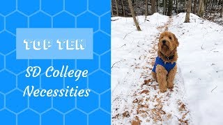 TOP TEN Service Dog Necessities in College