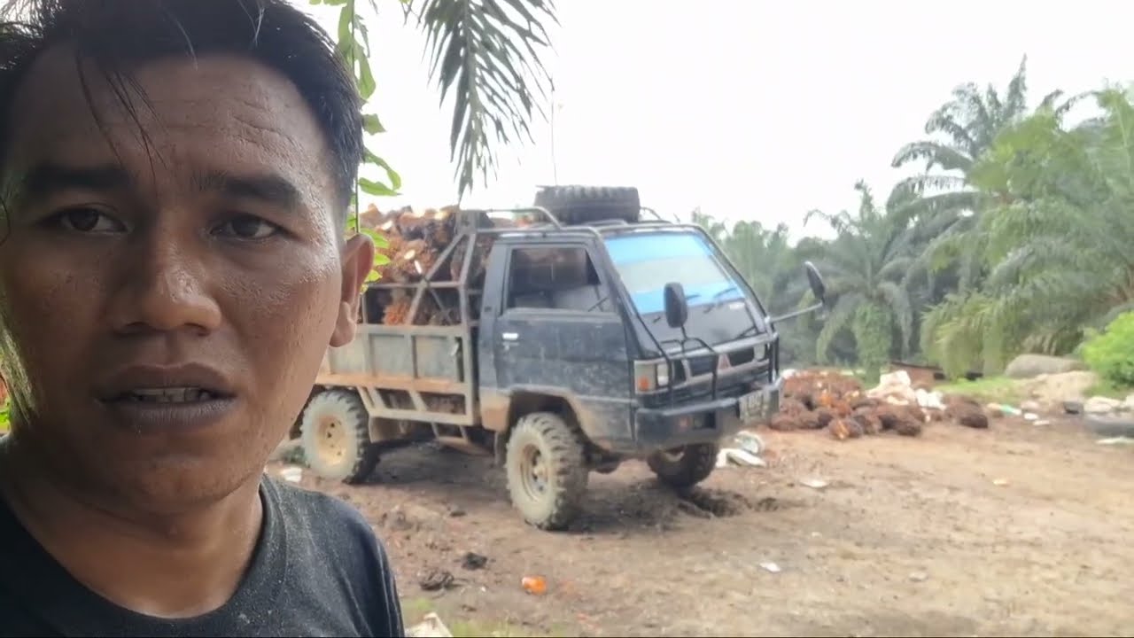 Langsir sawit di jalan extrim