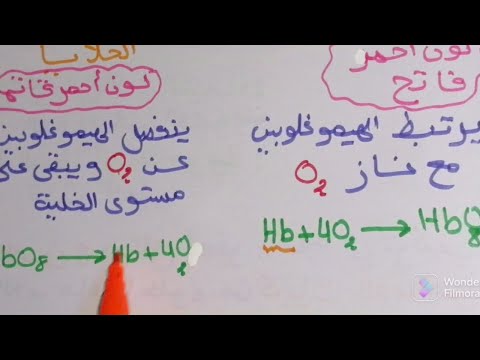 أبين دور مكونات الدم دروس العلوم الطبيعية السنة الرابعة متوسط