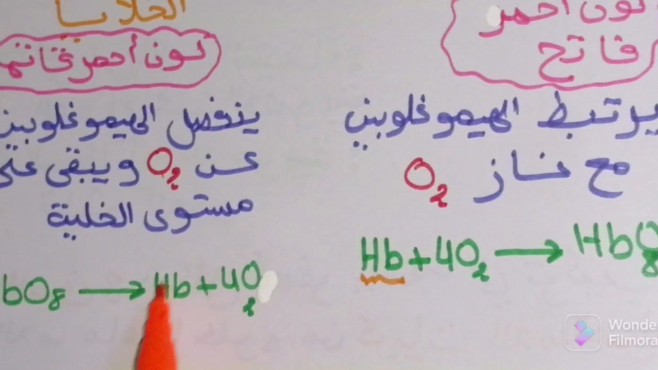 أبين دور مكونات الدم (دروس العلوم الطبيعية السنة الرابعة متوسط)