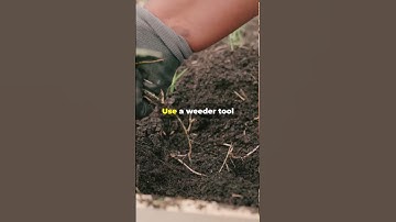What Your Gardener Isn