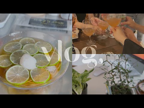도쿄 vlog | 망해가는 하라주쿠를 살려라  (캣스트릿 봉사활동, 라임소바 만들기, 생일파티, 일본 집들이)