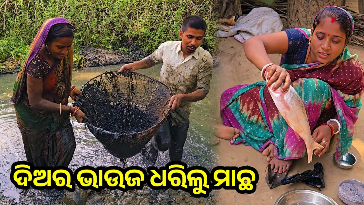 ଦିଅର ଭାଉଜ ଧରିଲୁ ମାଛ | Odia Fishing Vlog | Tapan Sanju Family Vlog