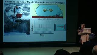 Elisabeth Kilroy 3 Minute Thesis