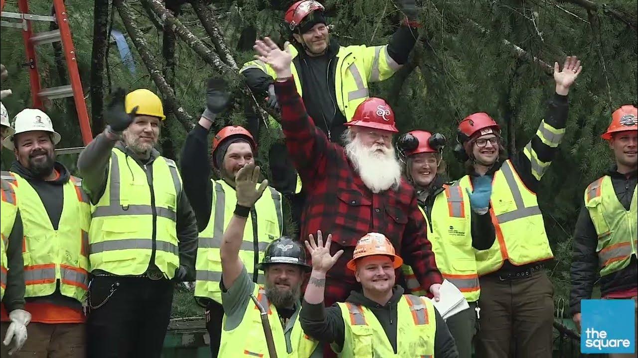 Stimson Lumber Christmas Tree Arrival 2023 at Pioneer Courthouse Square