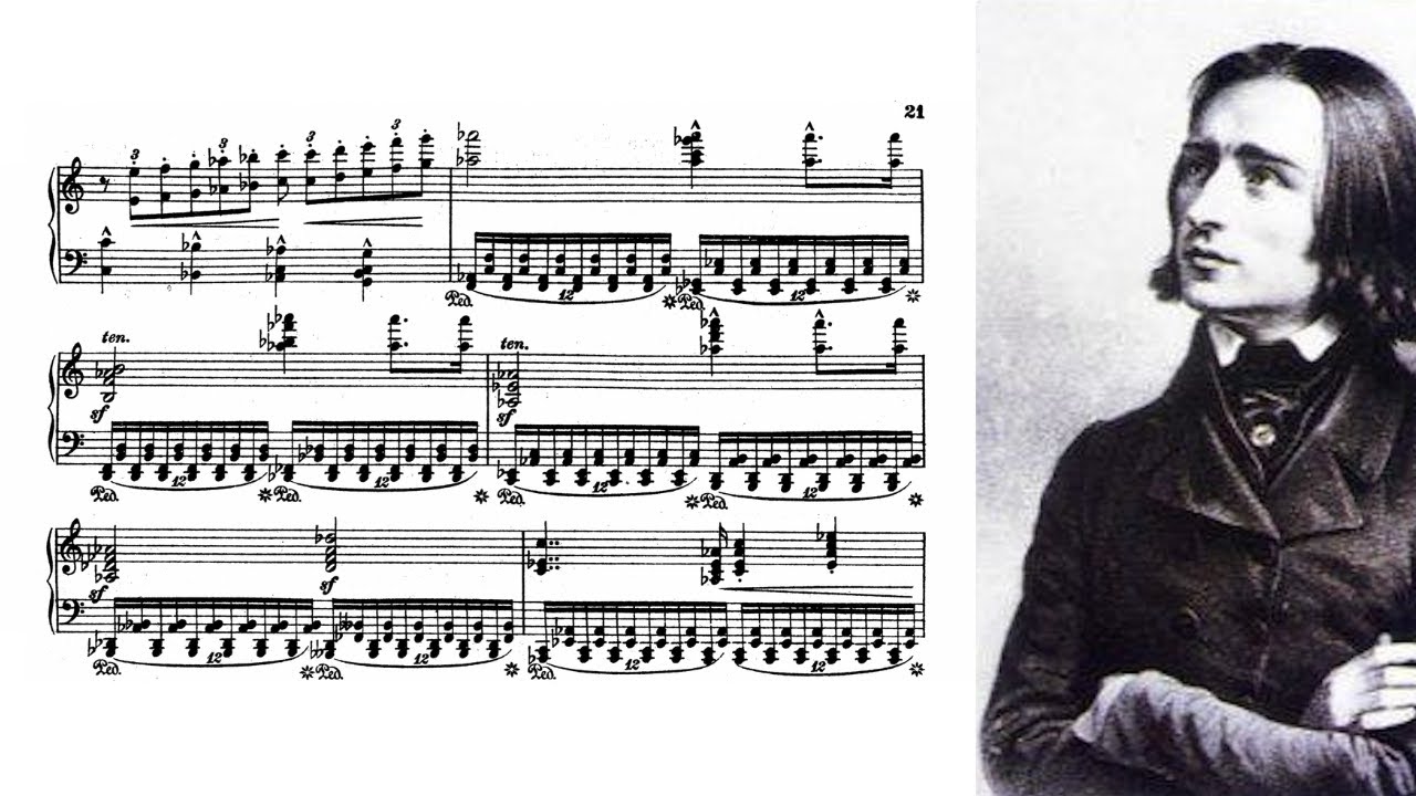 クラシック France Clidat Liszt 14 CD Coffret 14 CD : France CLIDAT interprète Franz LISZT / DECCA