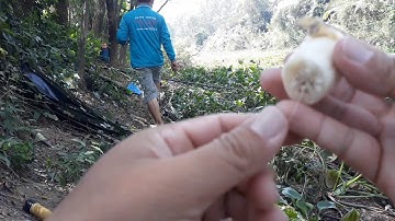 CÂU CÁ THIÊN NHIÊN_ĐI CÂU CÁ NGÀY GẦN TẾT VÀ CÁI KẾT||MINH ĐỨC MT||