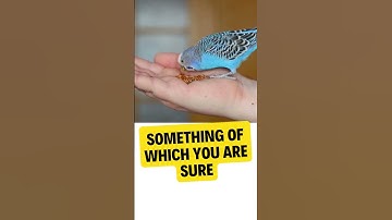 Master English Idioms and Phrases for Native-Level Fluency. Daily Idiom 19