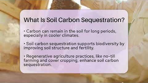 What Is Soil Carbon Sequestration? - Ecosystem Essentials