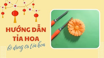 Tỉa Cà Rốt Hình Hoa Nhỏ Xinh Bằng Bộ Dụng Cụ Tỉa Hoa Mẹ Bảo Hân