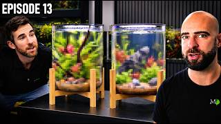 Kit Aquarium Competition: MD vs Steph |EP13| Warehouse To Fish Studio
