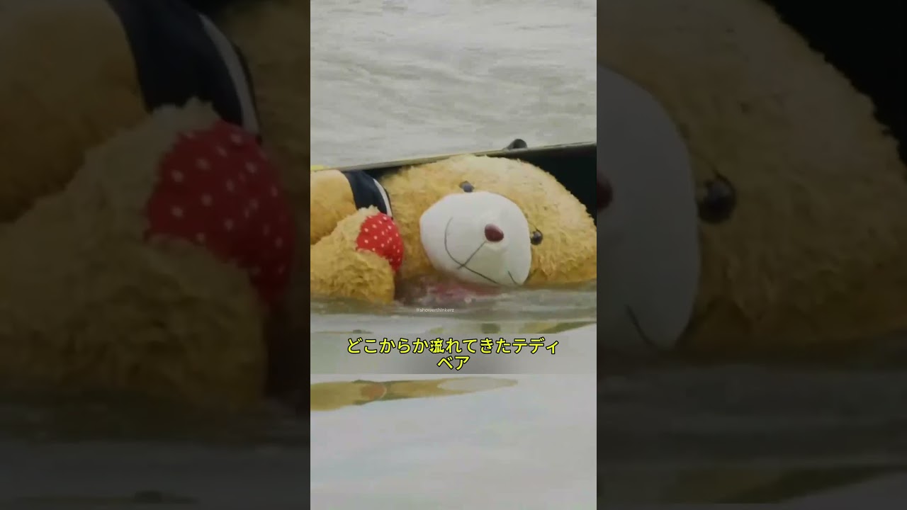 海塩は絶対に集めないでください‼️😱