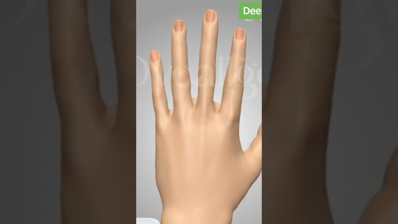 Arialief: Fast Relief for Sciatic Pain – Feel the Difference Today!