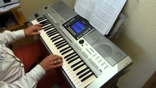 Mal ganz ehrlich - Helene Fischer - Keyboard-Coverversion chords