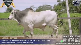 LOTE 05   CGF 1303