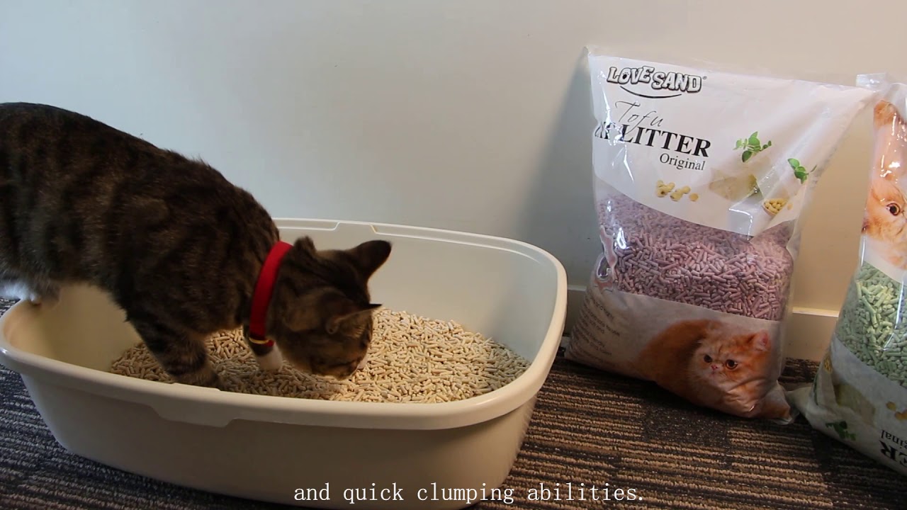 Emily Pets tofu cat litter YouTube