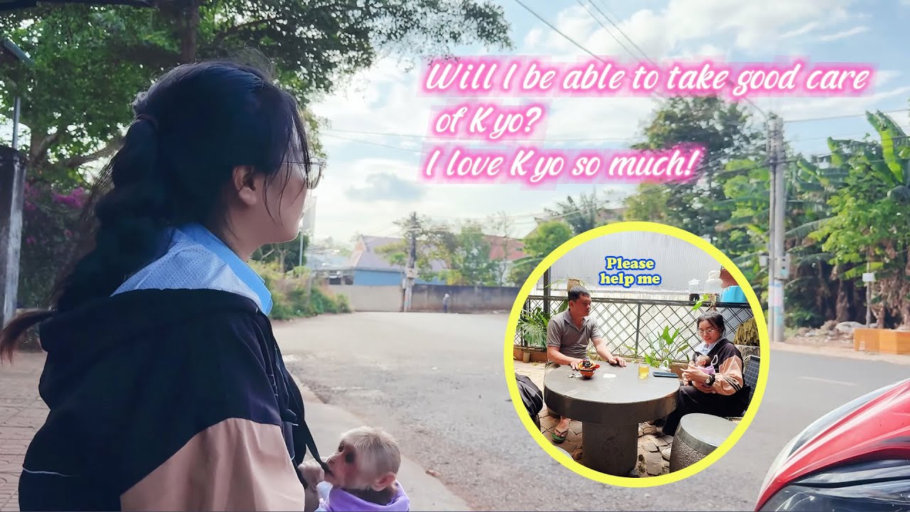 Будет ли мисс Нган заботиться о Манки Кё, пока папа отправится на операцию?