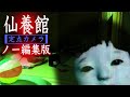 証拠映像【ノー編集版VTR】座敷わらしを追った定点カメラ
