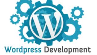 Expert WordPress Development Services | Custom WordPress Plugin Development | Best Website Designer