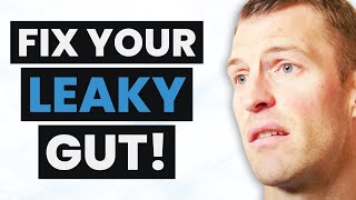 THESE Are the Top Foods & Supplements for Getting Rid of LEAKY GUT | Dr. Josh Axe Information