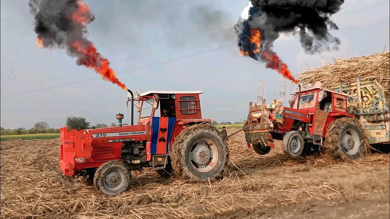 massey tractors pulling heavy loaded trolley 🔥 || tractor stuck in mud || tractor trolley video