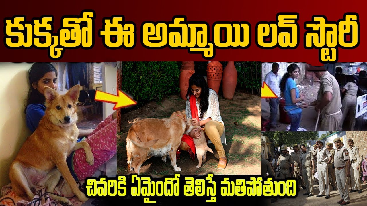 ఈ అమ్మాయి కుక్కతో ప్రేమలో పడింది | చివరికి  ఏం జరిగిందో  తెలిస్తే మతిపోతుంది | 
