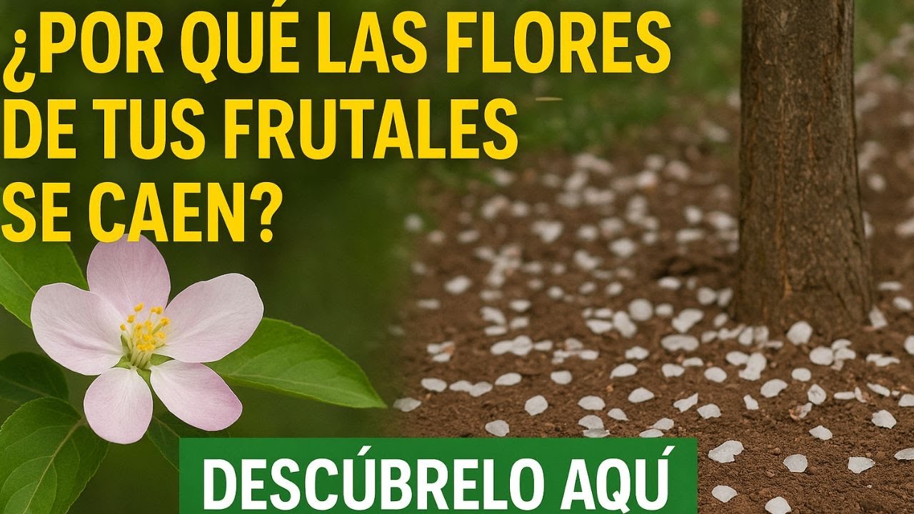 ¿Por Qué las Flores de tus Frutales Se Caen? Descúbrelo Aquí🌼