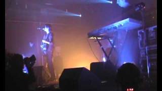 The Young Gods - Blooming
