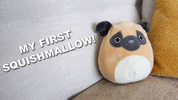 My First Squishmallow! - Unboxing