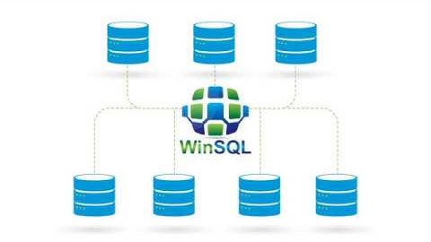 WinSQL: A Universal Database Query Tool