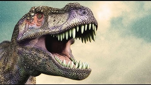 Selecting Textures for EMD [XENOVERSE]