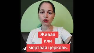 В какую церковь ходишь ты?