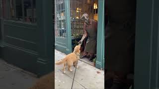 Funny dogs! 🐶🐾🐶🐾🐶🐾/ Смешные собаки! 🐶🐾🐶🐾🐶🐾