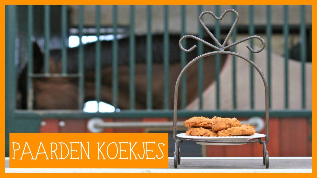 Paardenkoekjes Maken PaardenpraatTV YouTube paardenkoekjes-maken-paardenpraattv-youtube