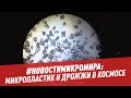 #новостимикромира: микропластик и дрожжи в космосе