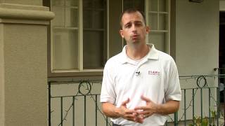 Kilauea Pest Control Honolulu, Hawaii - Termite Control