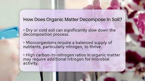 How Does Organic Matter Decompose In Soil? - The Plant Enthusiast